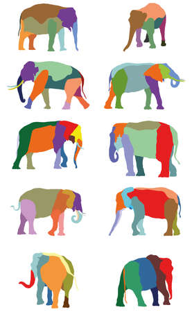 Set of vector colorful standing indian and african elephants on white backgroundのイラスト素材