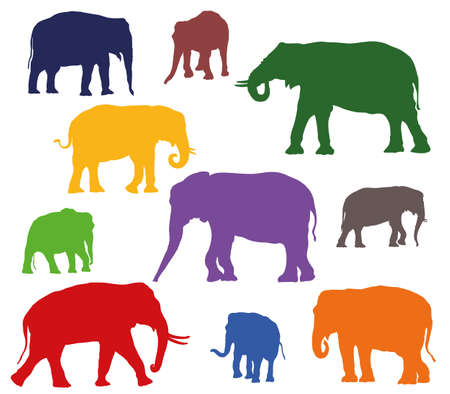 Set of vector standing indian and african elephants in different colors on white backgroundのイラスト素材