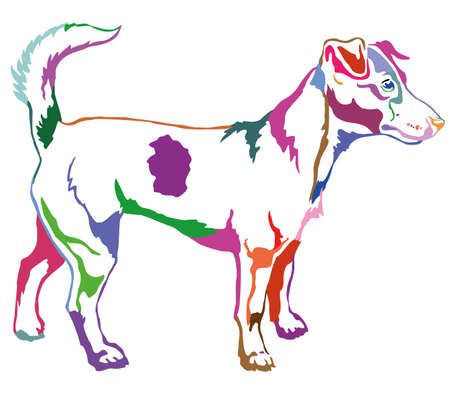 Decorative portrait of standing in profile dog Jack Russell terrier, vector isolated illustration in different colors on white backgroundのイラスト素材