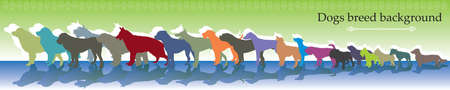 Vector background panorama with different colorful dogs breed のイラスト素材