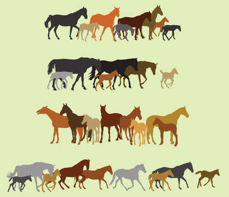 Group of black, grey, orange, brown silhouettes of horses (stallions, mares and foals) standing, walking, running on green background. Vector illustration.のイラスト素材