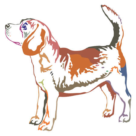 Colorful decorative portrait of standing in profile beagle, vector isolated illustration on white backgroundのイラスト素材