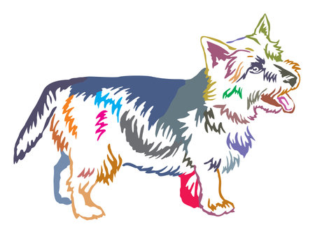 Colorful decorative portrait of standing in profile dog Norwich Terrier, vector isolated illustration on white backgroundのイラスト素材