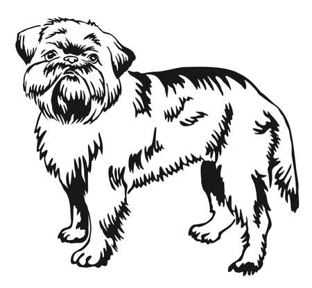 Decorative portrait of standing in profile dog Brussels Griffon, vector isolated illustration in black color on white backgroundのイラスト素材