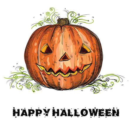 Vector hand drawing Halloween orange pumpkin isolated on white backgroundのイラスト素材