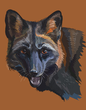Colorful vector portrait of black fox isolated on brown backgroundのイラスト素材
