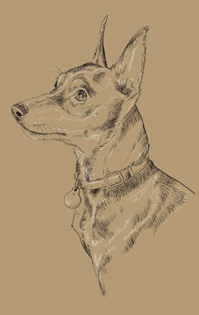 Dog portrait hand drawing black and white illustration.のイラスト素材