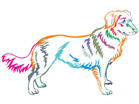 Colorful contour decorative portrait of standing in profile dog Nova Scotia Duck Tolling Retriever,...