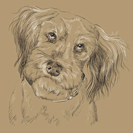 Fluffy mongrel dog vector hand drawing black and white illustration isolated on beige backgroundのイラスト素材