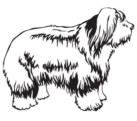 Decorative portrait of standing in profile Dog Old English Sheepdog, vector isolated illustration in black color on white backgroundのイラスト素材