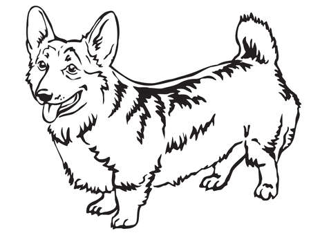Decorative portrait of standing in profile Pembroke Welsh Corgi, vector isolated illustration in black color on white backgroundのイラスト素材