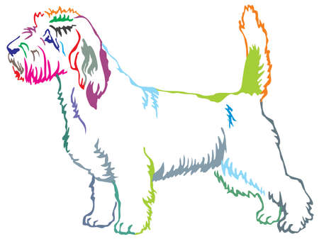 Colorful contour decorative portrait of standing in profile Petit Basset Griffon Vendeen, vector isolated illustration on white backgroundのイラスト素材