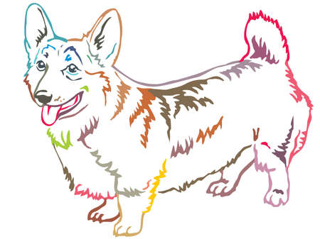 Colorful contour decorative portrait of standing in profile Pembroke Welsh Corgi, vector isolated illustration on white backgroundのイラスト素材