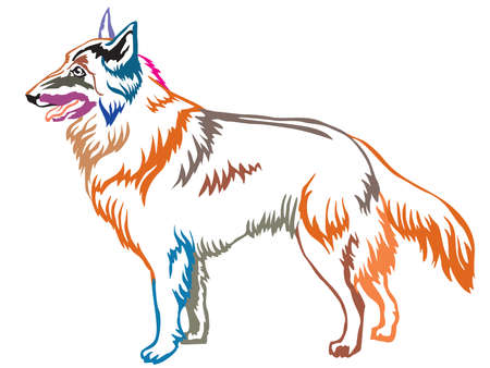 Colorful contour decorative portrait of standing in profile Belgian Shepherd Tervuren, vector isolated illustration on white backgroundのイラスト素材