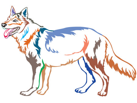 Colorful contour decorative portrait of standing in profile Czechoslovakian Wolfdog, vector isolated...