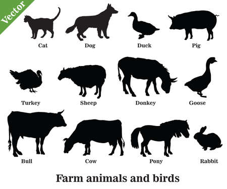 Set of vector farm animals and birds silhouettes in black color isolated on white backgroundのイラスト素材