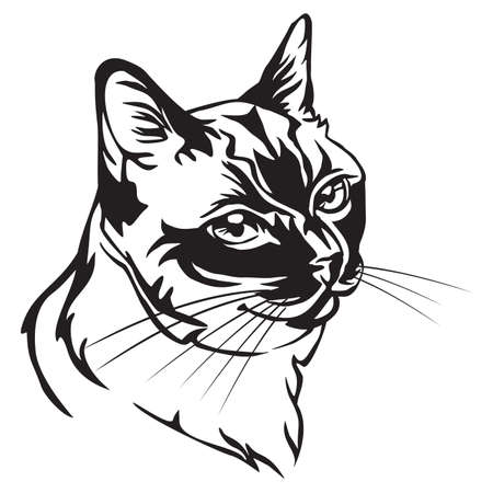 Decorative portrait in profile of Thai Cat, vector isolated illustration in black color on white backgroundのイラスト素材