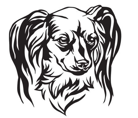Decorative Portrait Of Dog Long Haired Russian Toy Terrier Vector