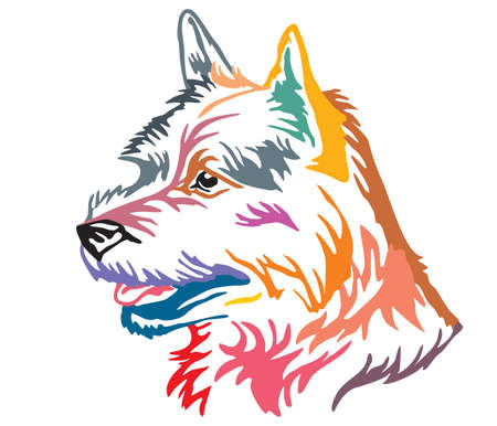 Colorful decorative portrait in profile of Dog Norwich Terrier, vector illustration in different colors isolated on white background. Image for design and tattoo.のイラスト素材