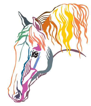 Colorful decorative portrait of  horse with long mane, vector illustration in different colors isolated on white background. Image for design and tattoo.のイラスト素材