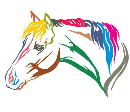 Colorful decorative portrait in profile of beautiful Welsh Pony with long mane, vector illustration in different colors isolated on white background. Image for design and tattoo.のイラスト素材