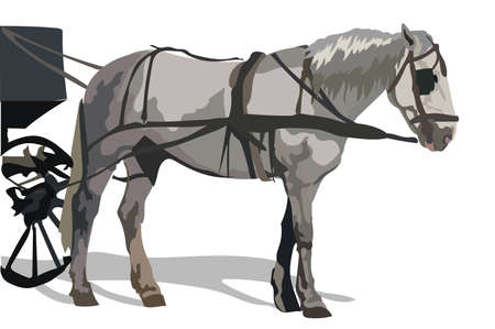 Vector colorful Illustration horse standing in profile. Monochrome vector sketch illustration isolated on white background.のイラスト素材