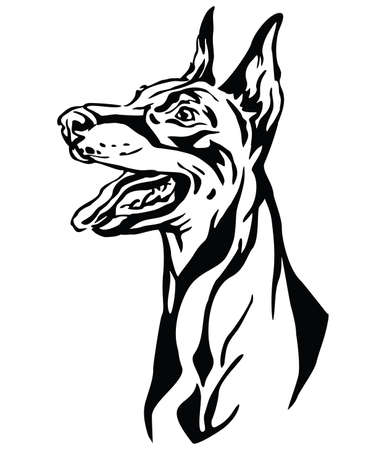 Decorative outline portrait of Dog Dobermann looking in profile, illustration in black color isolated on white background. Image for design and tattoo.のイラスト素材