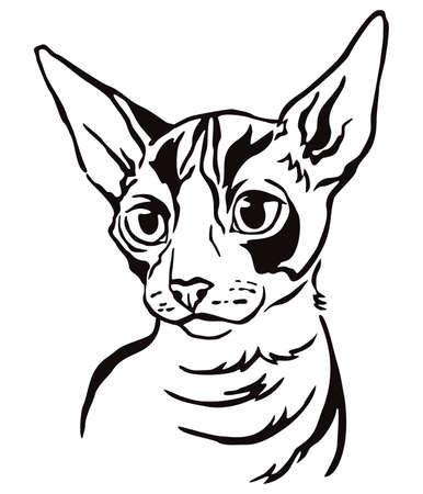 Decorative portrait of Cornish Rex cat, contour vector illustration in black color isolated on white background. Image for design and tattoo. のイラスト素材