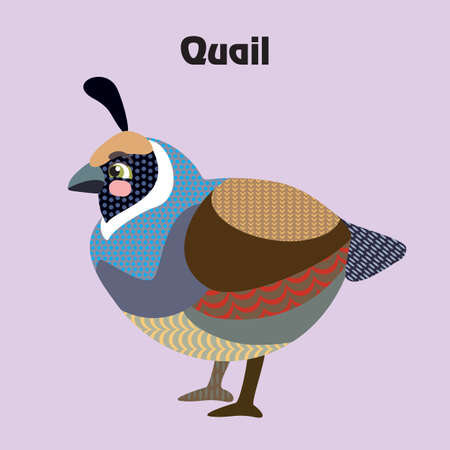 Colorful decorative outline cute quail bird sitting in profile. Wild animals and birds vector cartoon characters flat illustration in different colors isolated on purple background.Vector stock illustration.のイラスト素材