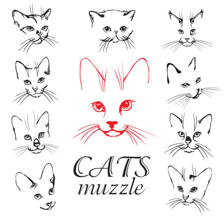 Set of abstract vector illustration of cats muzzle set.  Abstract animal icon label. Flat illustration background with cat head. Isolated vector objects on white background. Cats logo design template. Stock illustration.のイラスト素材
