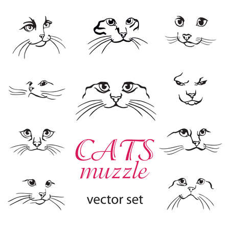 Set of abstract vector illustration of cats muzzle set.  Abstract animal icon label. Flat illustration with cat head. Isolated vector objects on white background. Cats logo design template. Stock illustration.のイラスト素材