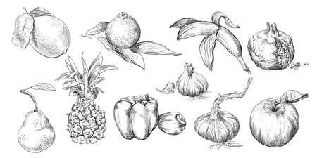 Hand drawing set of fruits, vegetables. Vector sketch illustration in black color isolated on white background. Design  home decoration. Vintage icons set. Stock illustration for art and design.のイラスト素材