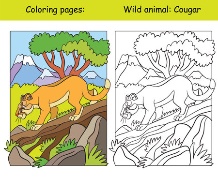 Coloring book page and color template cougarのイラスト素材
