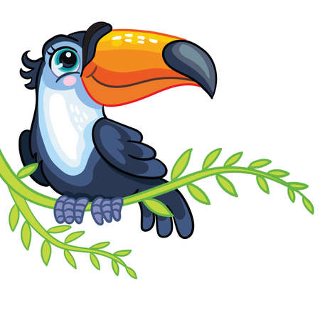 Little toucan cute cartoon character vector illustrationのイラスト素材