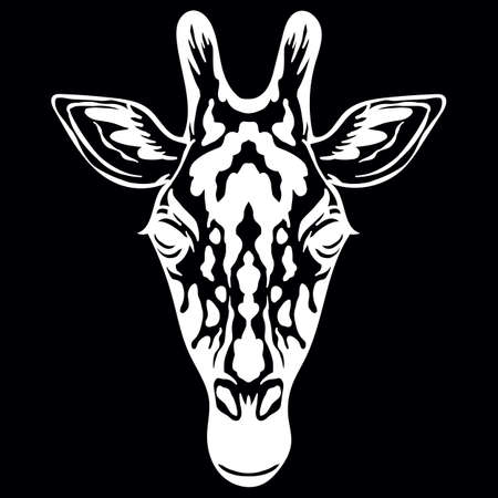 Vector head of mascot giraffe head isolated on blackのイラスト素材