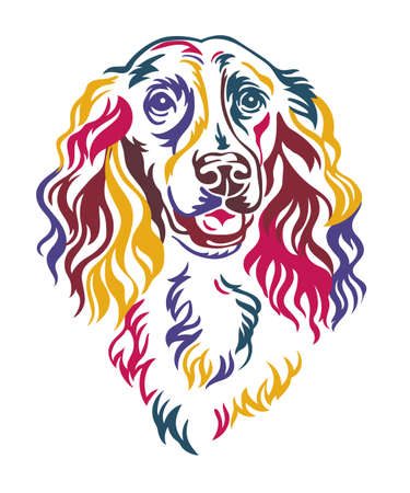 Spaniel dog color contour portrait. Dog head in front view vector illustration isolated on white. For decor, design, print, poster, postcard, sticker, t-shirt, cricut, tattoo and embroideryのイラスト素材