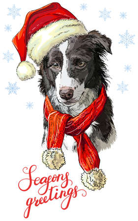 Christmas dog border collie vector hand drawn illustrationのイラスト素材