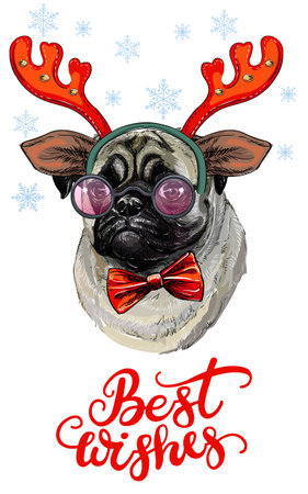 Christmas pug dog vector hand drawn illustration redのイラスト素材