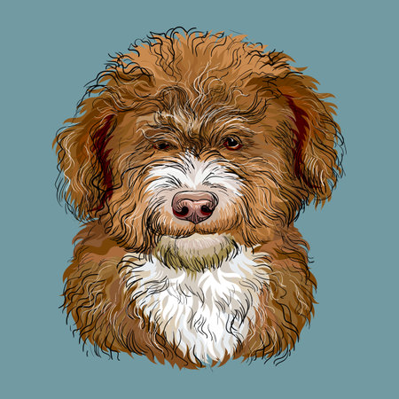 Pomeranian hand drawing dog vector isolated illustration on yellow background. Cute funny dog looking into the camera. Realistic dog. For print, design, T-shirt, sublimation, decor, coloring, posterのイラスト素材