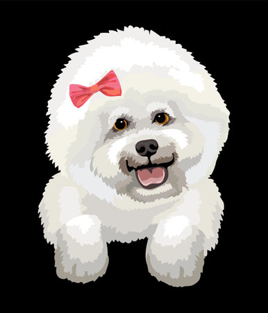 Realistic close up head of Bichon Frize dog. Vector colorful illustration isolated on black background. For decoration, design, print, posters, postcards, stickers, tattoo, t-shirtのイラスト素材