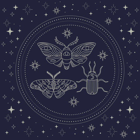 Celestial insects linear hand drawing vector illustrationのイラスト素材