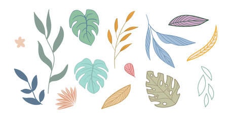 Set of contour hand drawn abstract flat exotic leaves. Modern design elements. Vector isolated illustration. For design, print, fabric and clothing design, stickers, tattoo, embroidery and decorationのイラスト素材