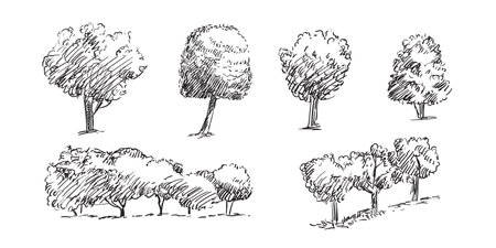 Hand drawing trees set. Monochrome sketches of different trees. Vector illustration isolated on white background. Design elements. For prints, design, cards and decorations.のイラスト素材