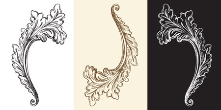 Acanthus leaf twisted retro design element. Vintage scroll engraved decorative ornament with leaves. Isolated vector illustration. Old fashioned vignette ornament. For decoration, print, designのイラスト素材