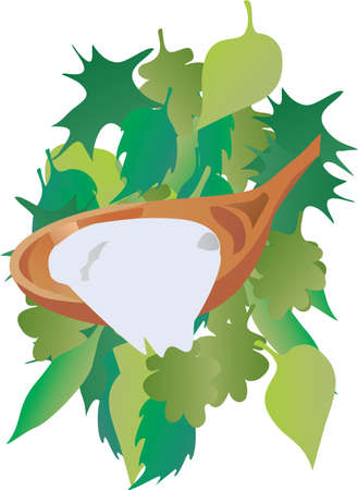 wood spoon with white yogurt on green leaves backgroundのイラスト素材
