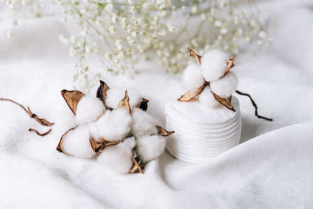 Cotton plant on a white cloth on white small flowersの写真素材