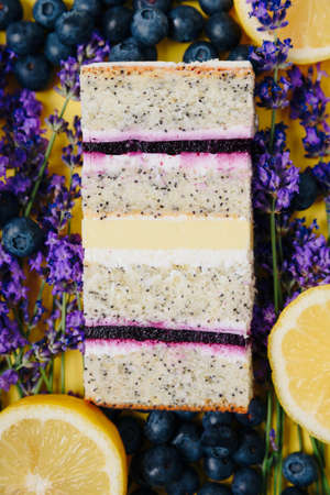 Slice of cake in the section on the background of fruitの写真素材