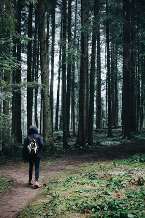 Young traveler with backpack exploring forest in mountains. Picture made in early spring in Carpathian mountains. Good photograph for those who are looking for such traveling atmosphere.のeditorial素材
