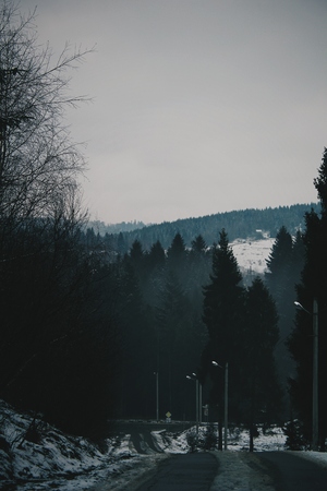 Dark and moody picture of landscape in mountains depicting trees and snow, road and hills far away. Photo of early spring in mountains with foggy weather.のeditorial素材