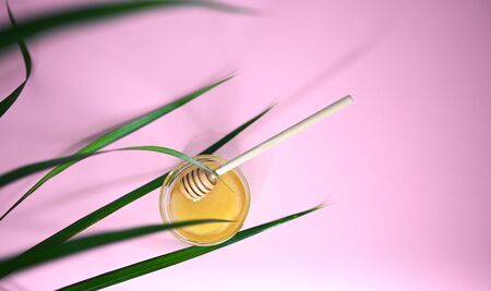 Set of depilation and beauty on pink background concept - sugar paste or hair removal waxing melted paste with green leaves. Sugar paste or honey in a glass bowl with a special wooden dipper stickの写真素材